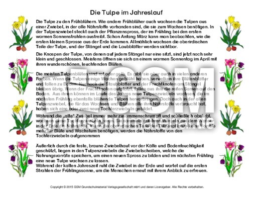Abschreibtext-Tulpe.pdf